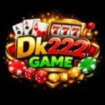 DK222 Game