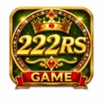 222RS Game
